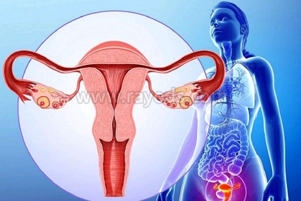 卵巢早衰的影响有哪些，卵巢早衰会影响寿命吗