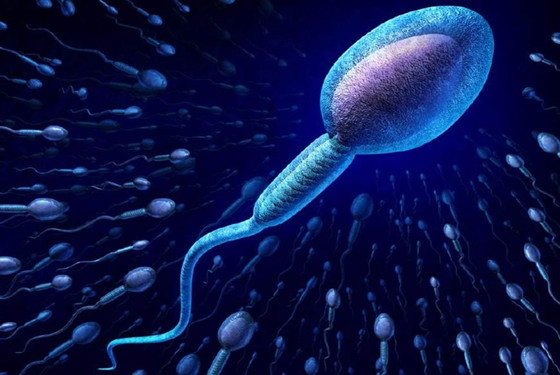 精子在体外能存活多长时间？