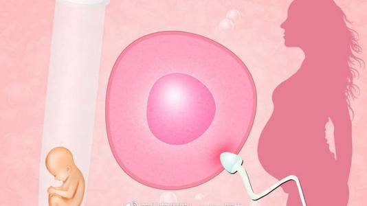 试管婴儿期间成熟卵泡太少该怎么办？