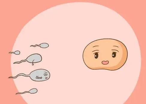 威海助孕机构套餐-上海哪家医院做试管婴儿的成功率高？试管婴儿治疗成功的条件是什么？