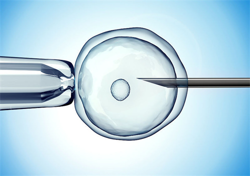 茂名合法供卵包生男孩费用-医院供体人工授精的成功率是多少？拉拉可以在中国进行体外受精进行自体授精吗？